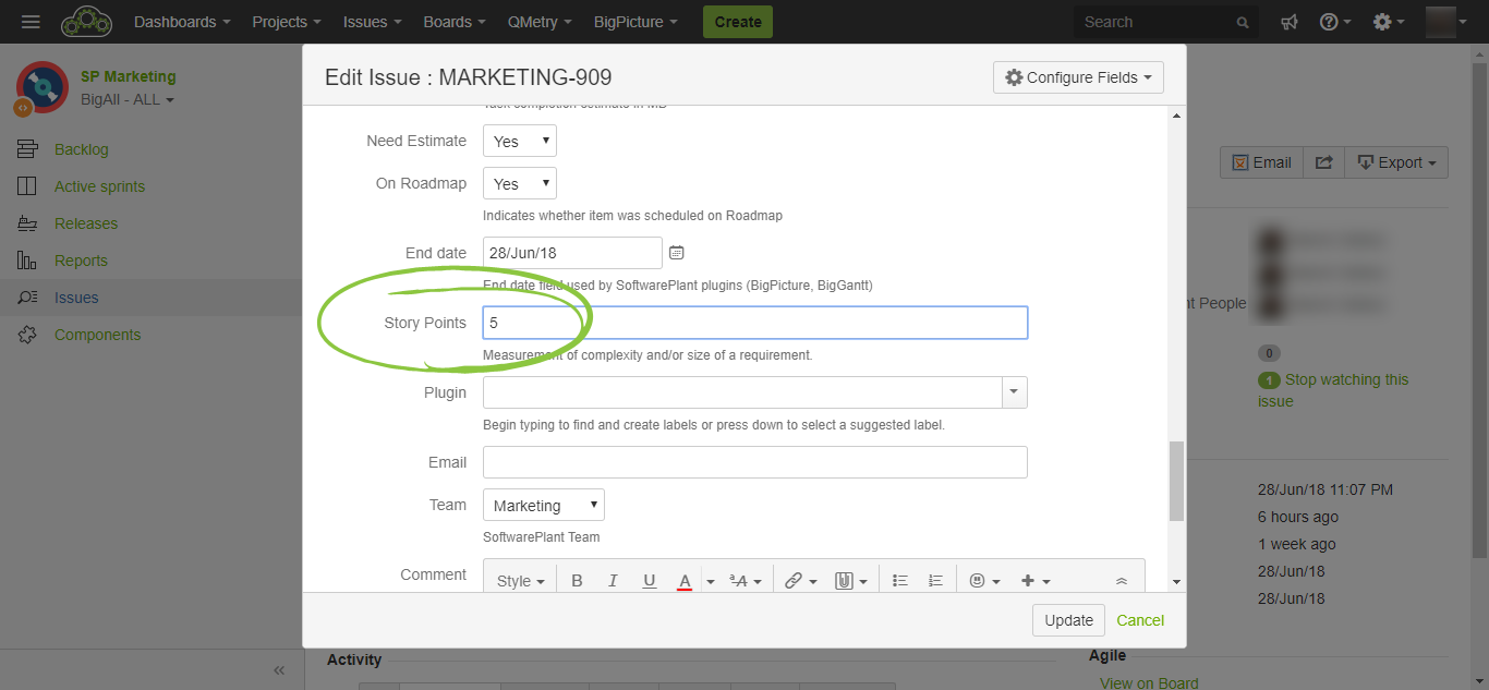 Story points field Jira BigPicture